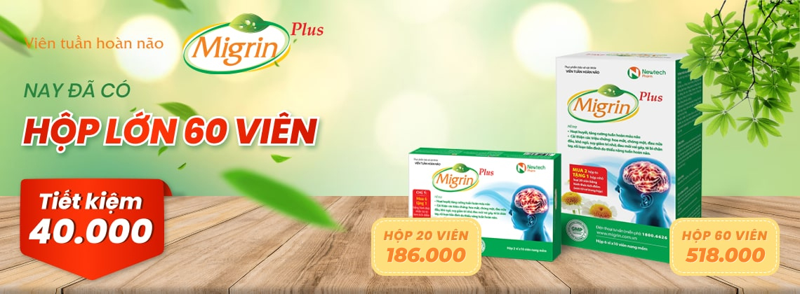 ảnh banner